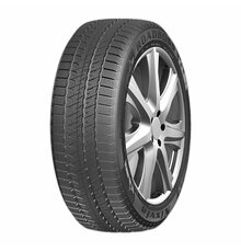 Roadboss 245/45R20 103H XL W301